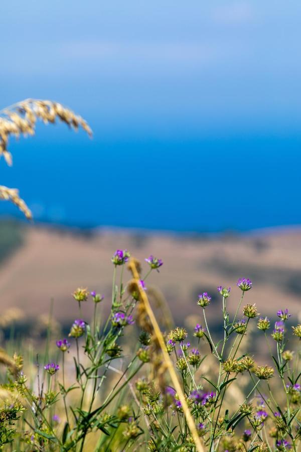 Il Panorama Housing Cilento Aparthotel Санта Мария ди Кастелабате Екстериор снимка