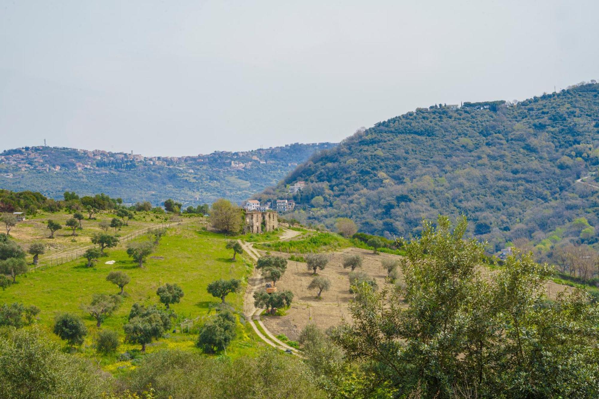 Il Panorama Housing Cilento Aparthotel Санта Мария ди Кастелабате Екстериор снимка